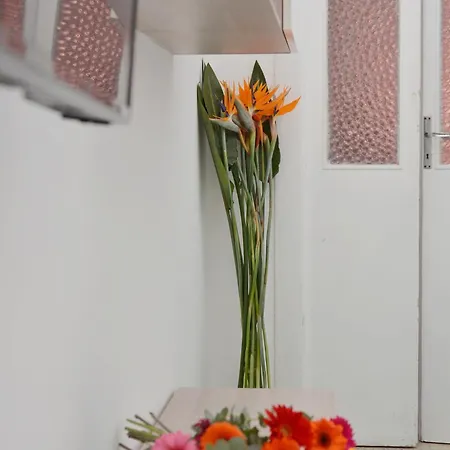 Trilogia Salentina X Ap Appartement Gallipoli